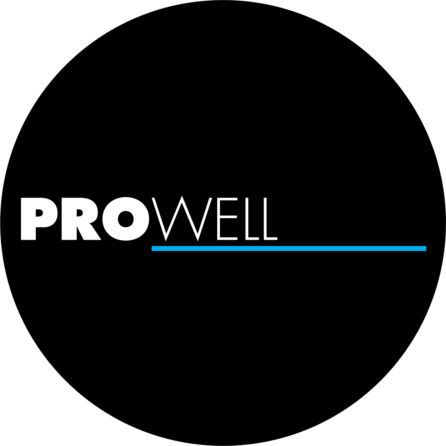Logo van BV Pro Well