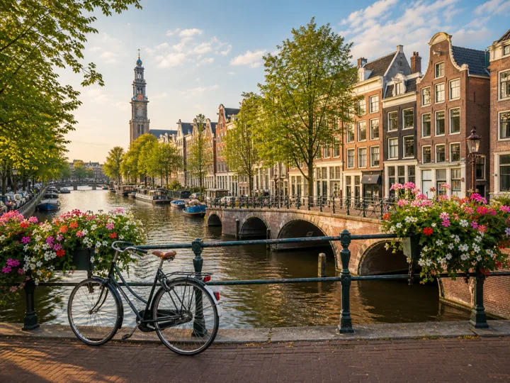Webshops zoeken in Amsterdam