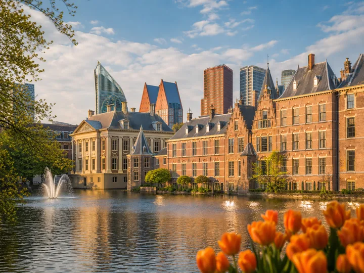 Webshops zoeken in Den Haag