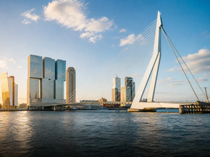 Webshops zoeken in Rotterdam