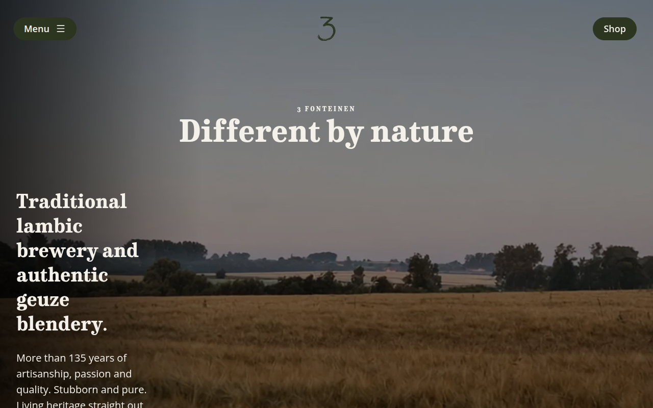 Screenshot van 3fonteinen.be