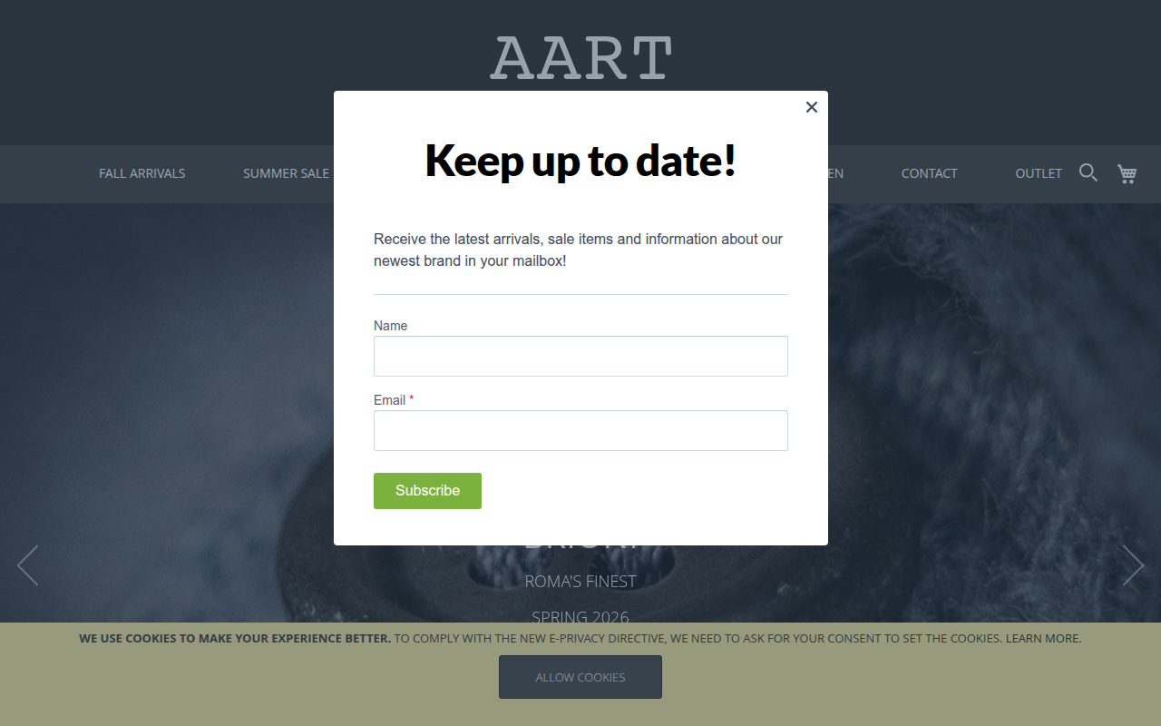 Screenshot van aartstore.com