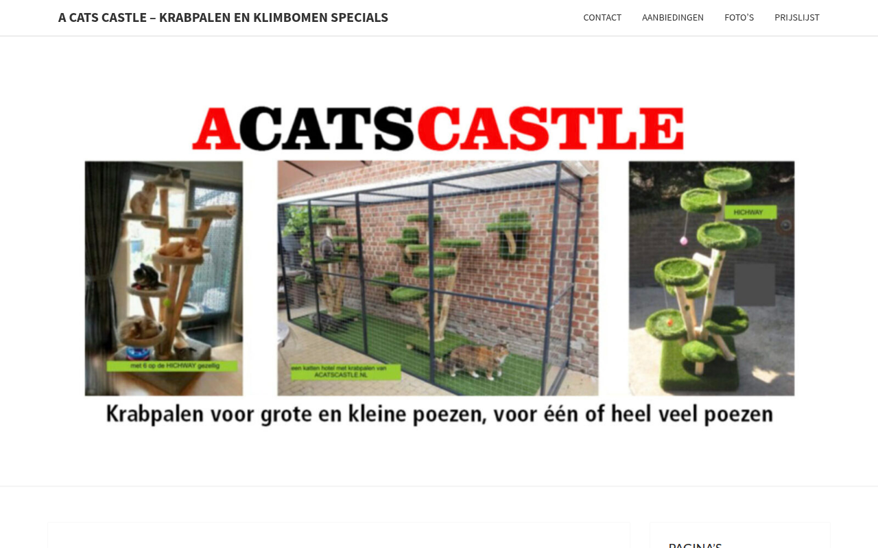 Screenshot van acatscastle.nl