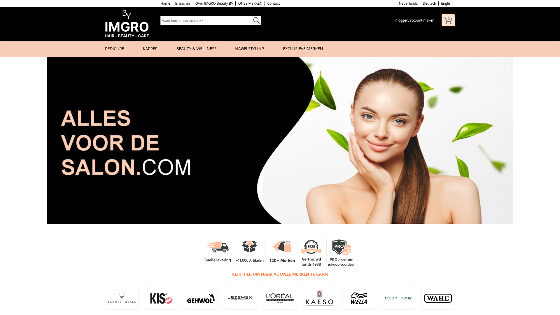 Screenshot van allesvoordesalon.com