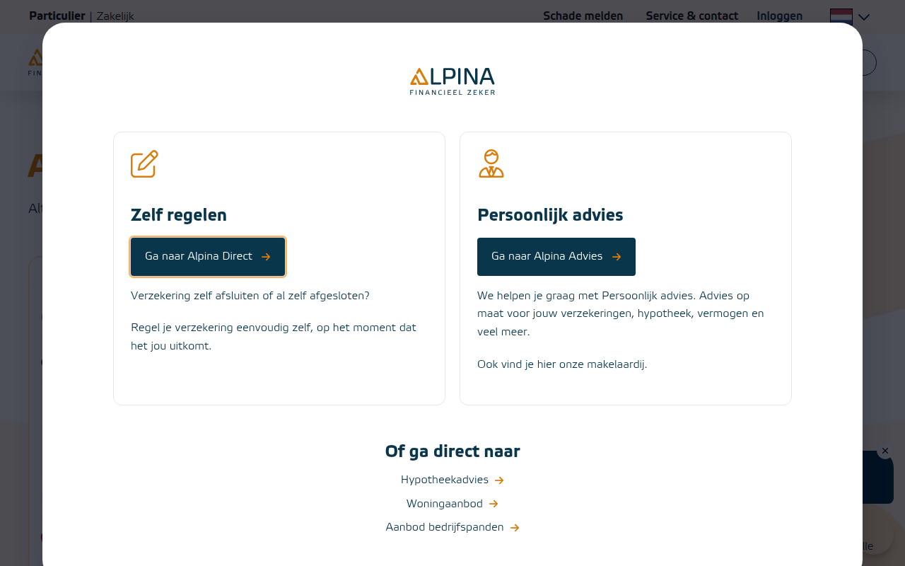 Screenshot van alpina.nl