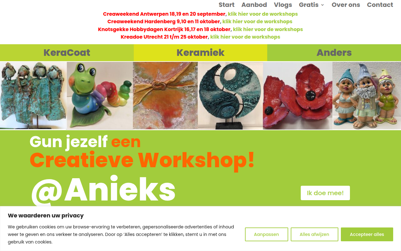 Screenshot van anieks.nl