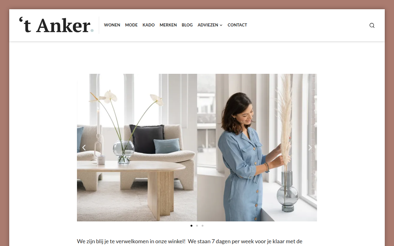 Screenshot van ankerlemmer.nl