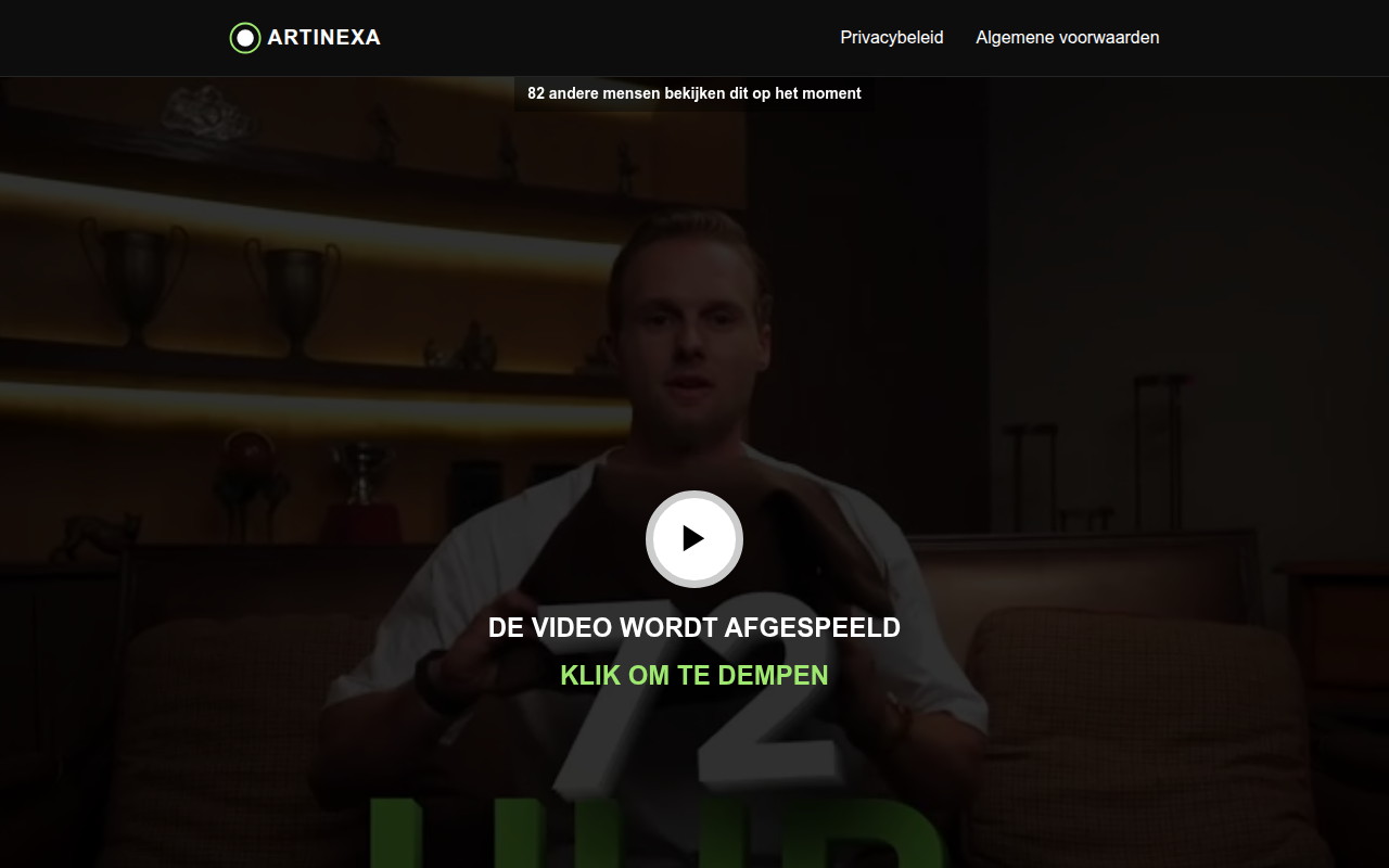 Screenshot van artiinexa.com