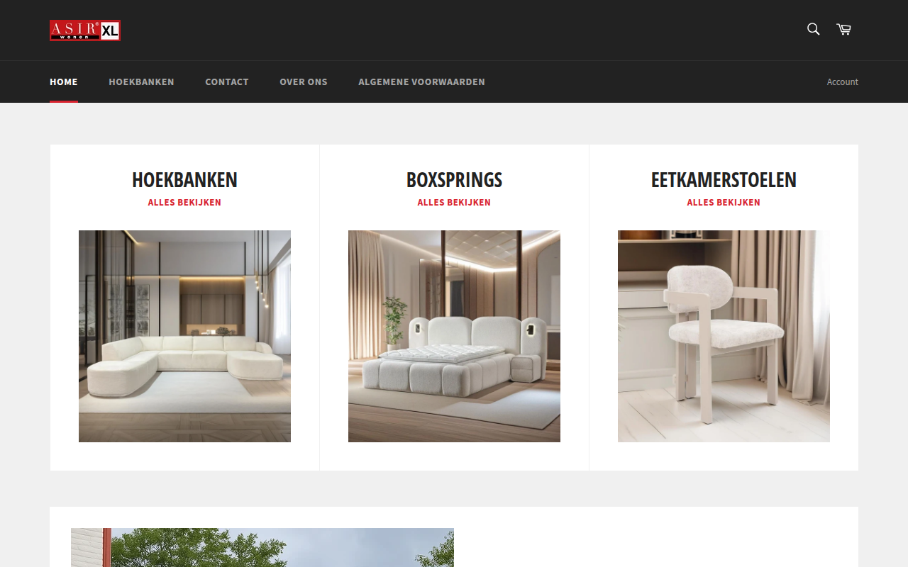 Screenshot van asirwonen.nl