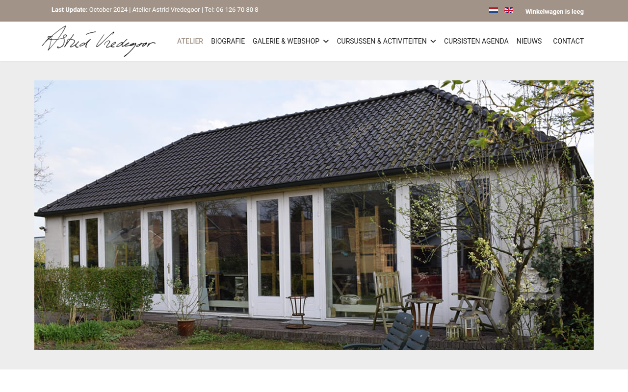 Screenshot van astridvredegoor.nl