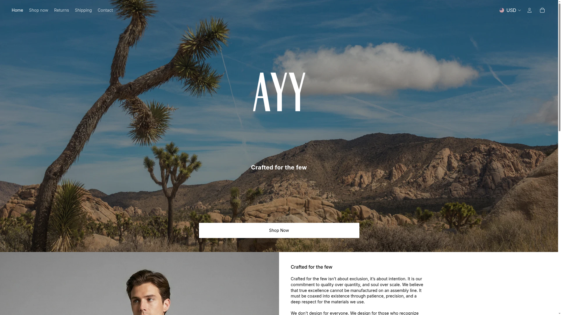 Screenshot van ayystore.com