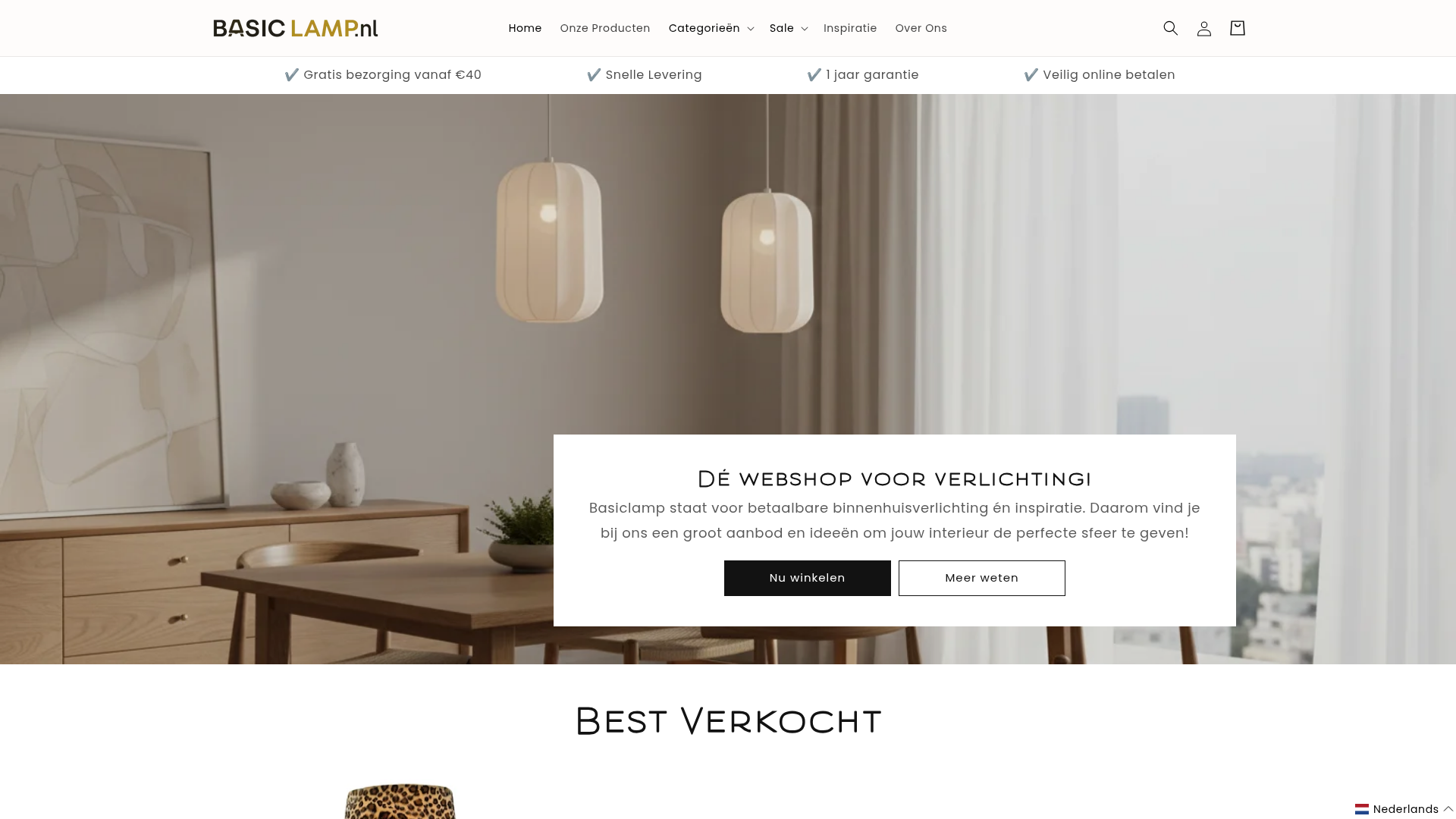 Screenshot van basiclamp.nl