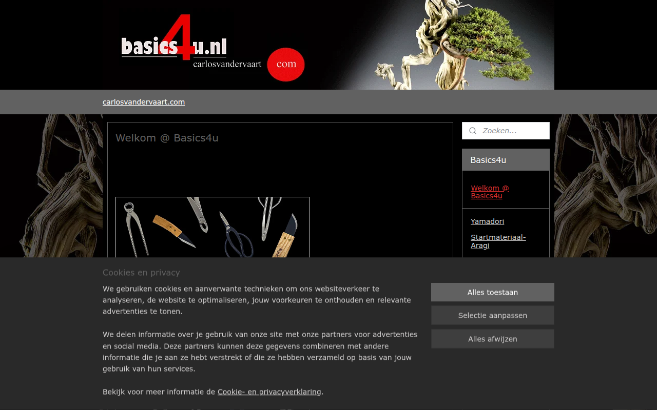 Screenshot van basics4u.nl