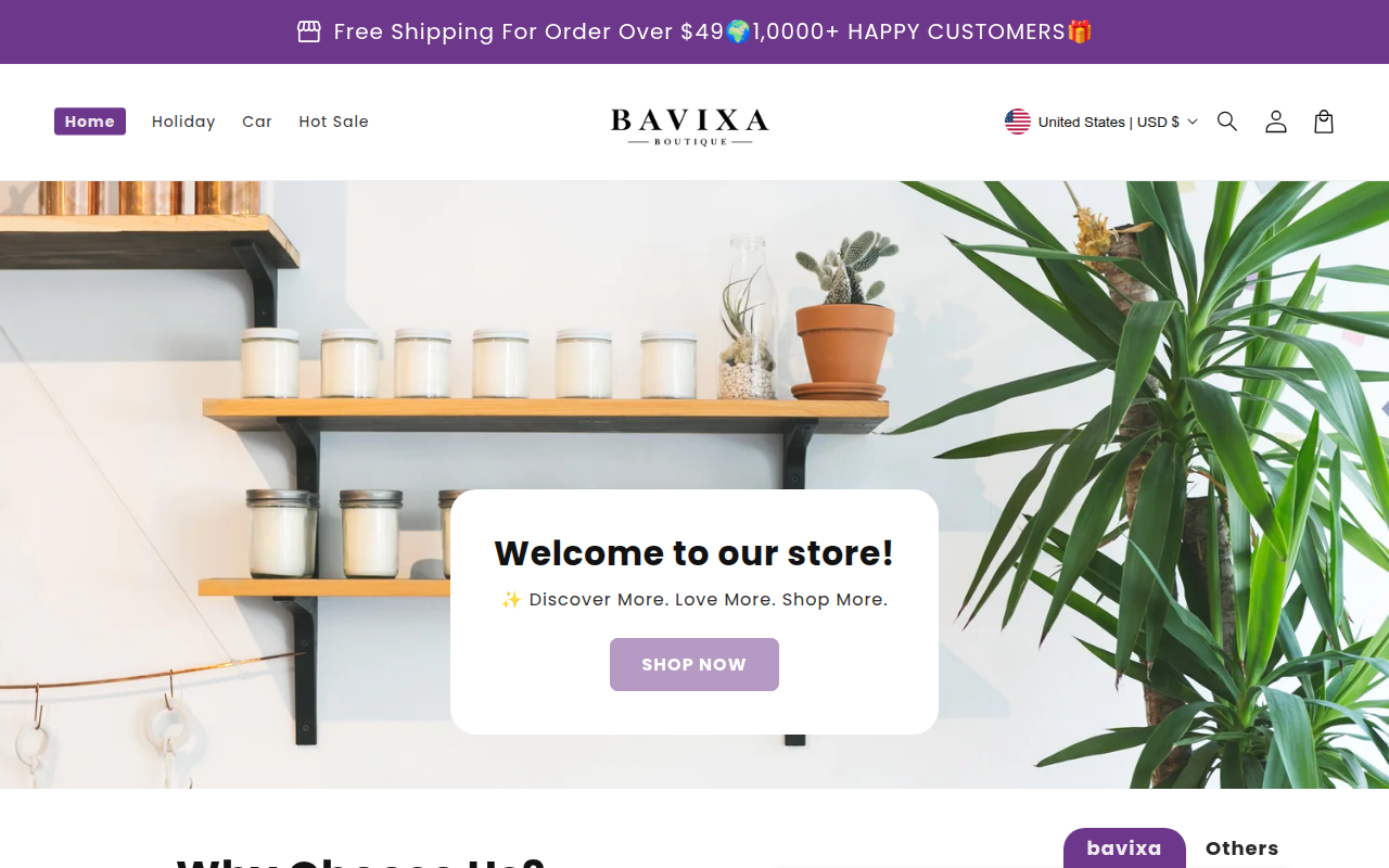 Screenshot van bavixa.com