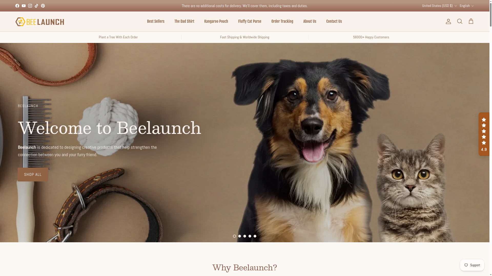 Screenshot van beelaunch.com