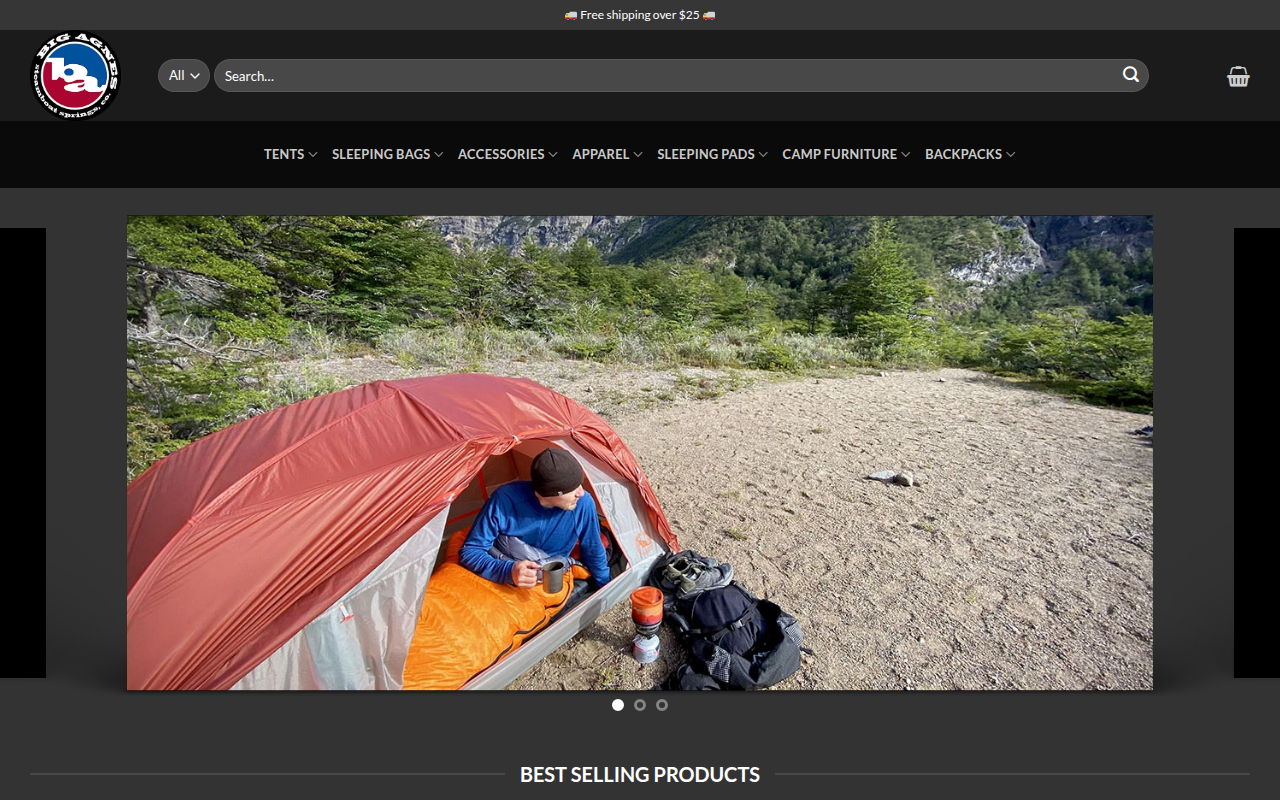 Screenshot van bigagnessales.com