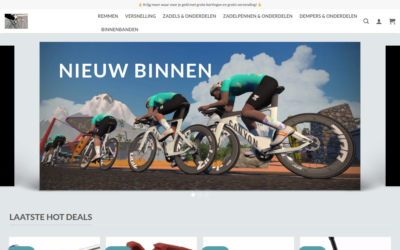Screenshot van bikesaddlesnl.com
