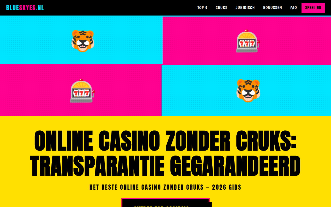 Screenshot van blueskyes.nl