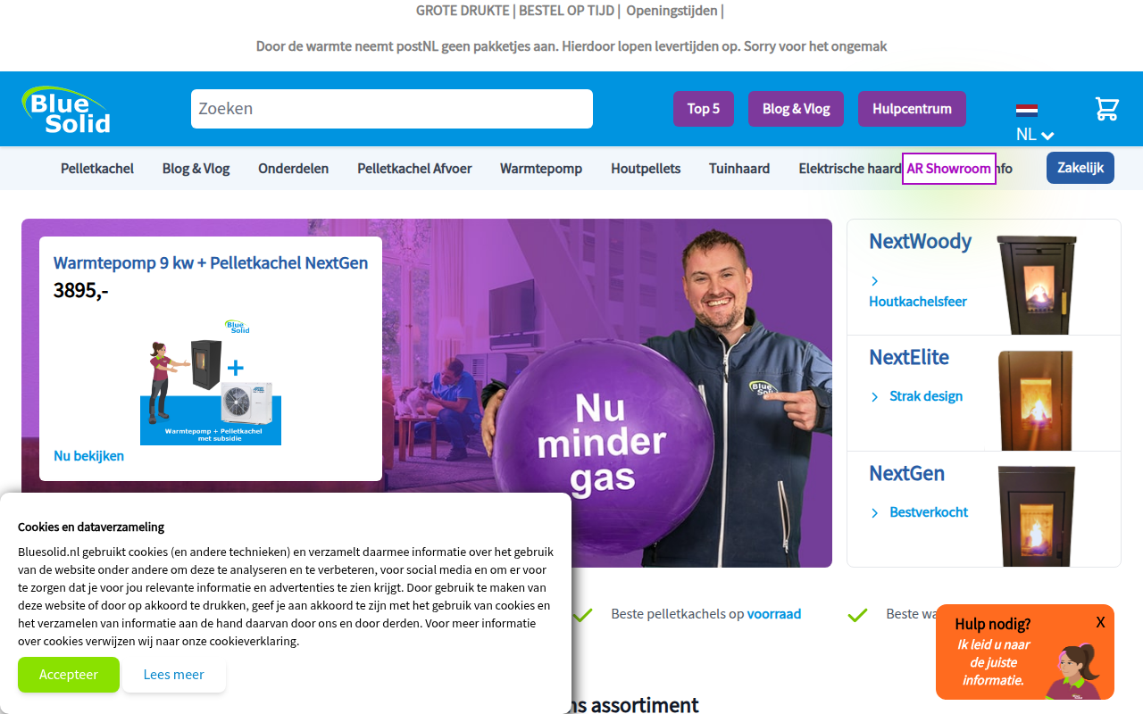 Screenshot van bluesolid.nl