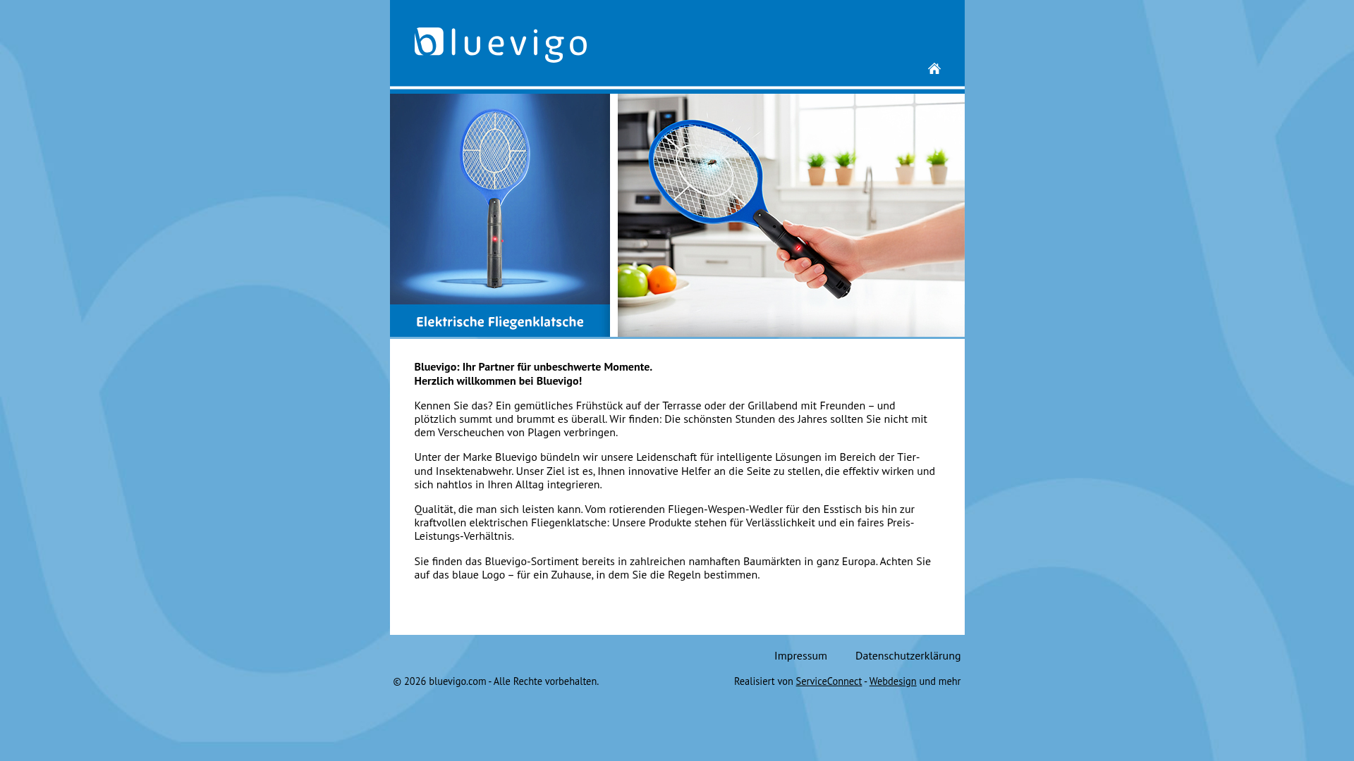 Screenshot van bluevigo.com