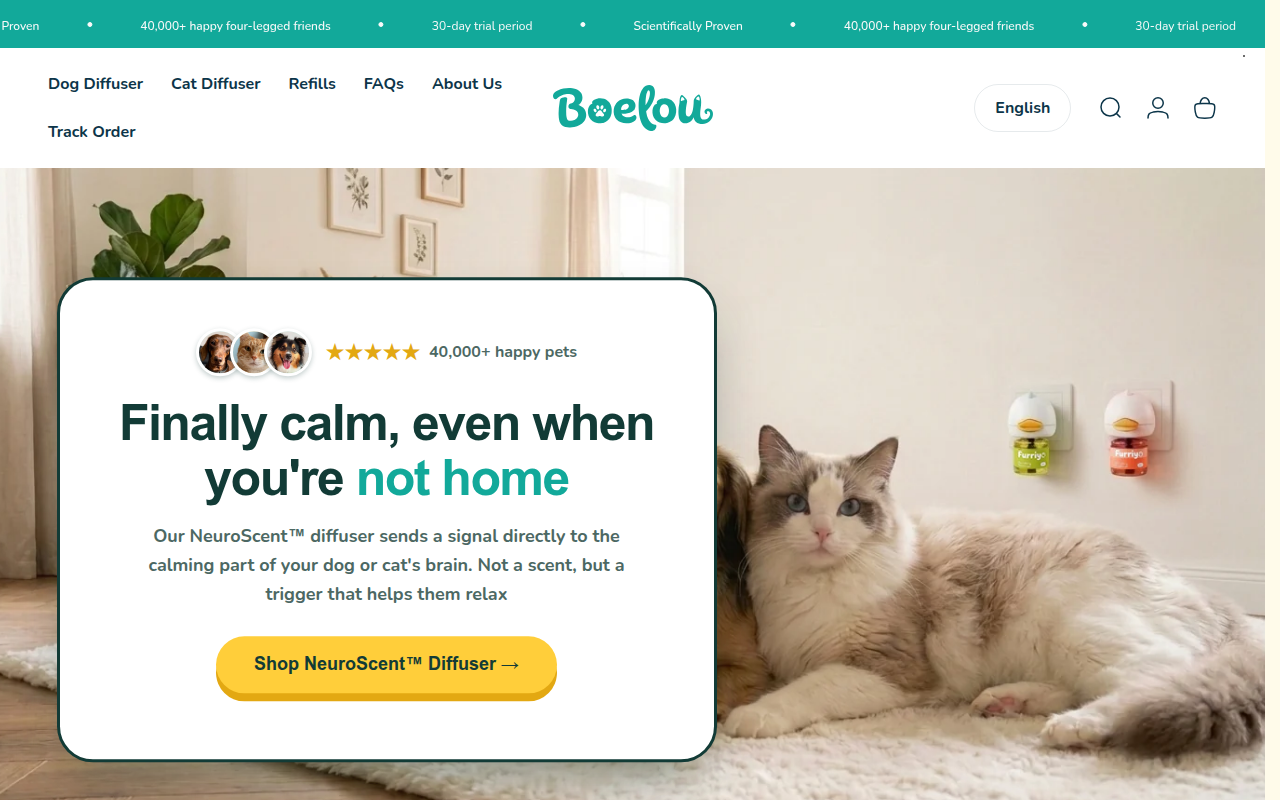 Screenshot van boelou.com
