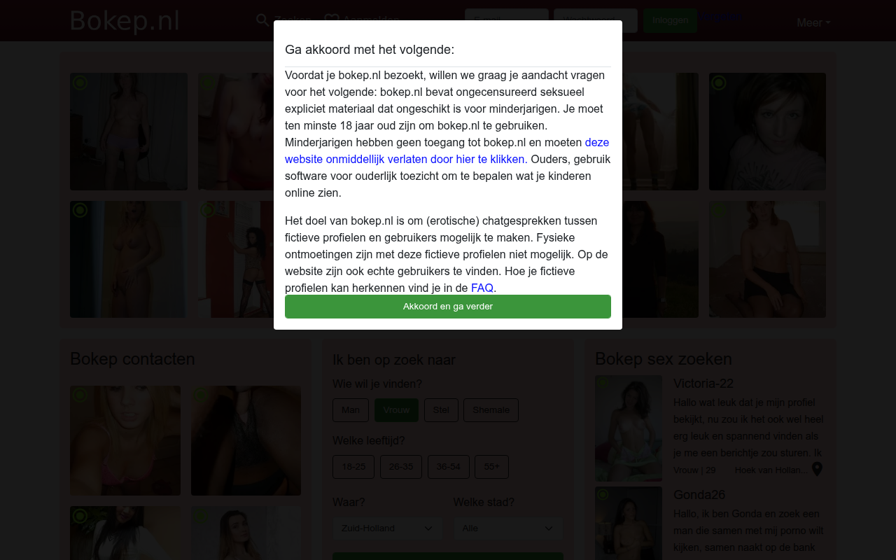 Screenshot van bokep.nl