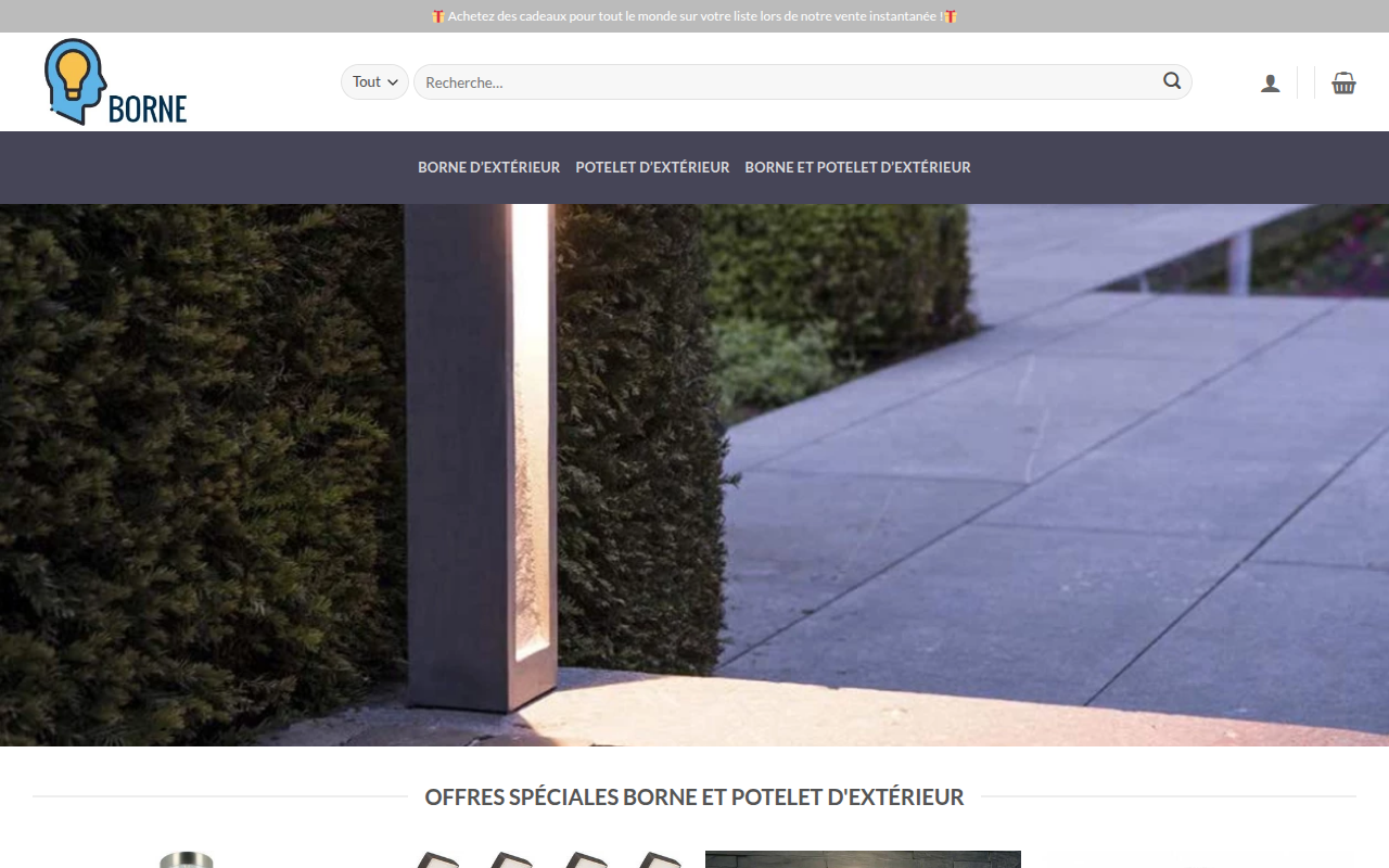 Screenshot van borneeve.com