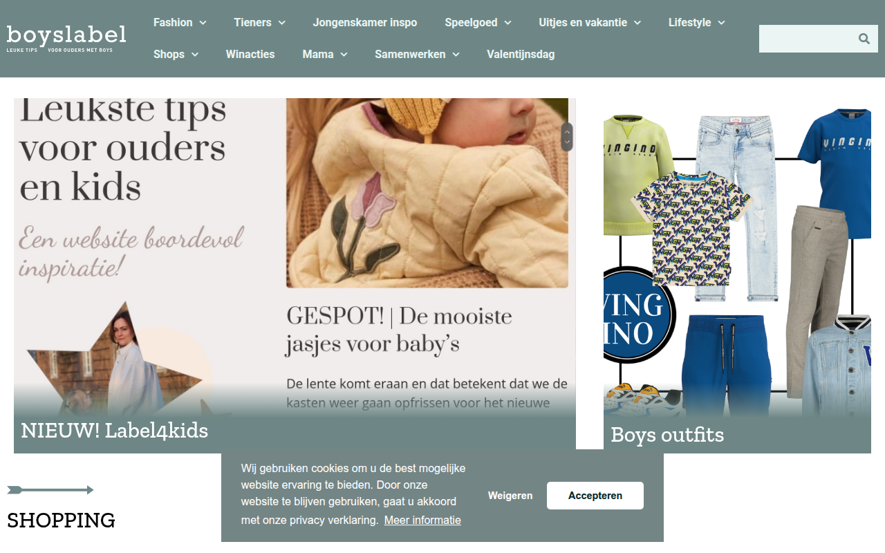Screenshot van boyslabel.com
