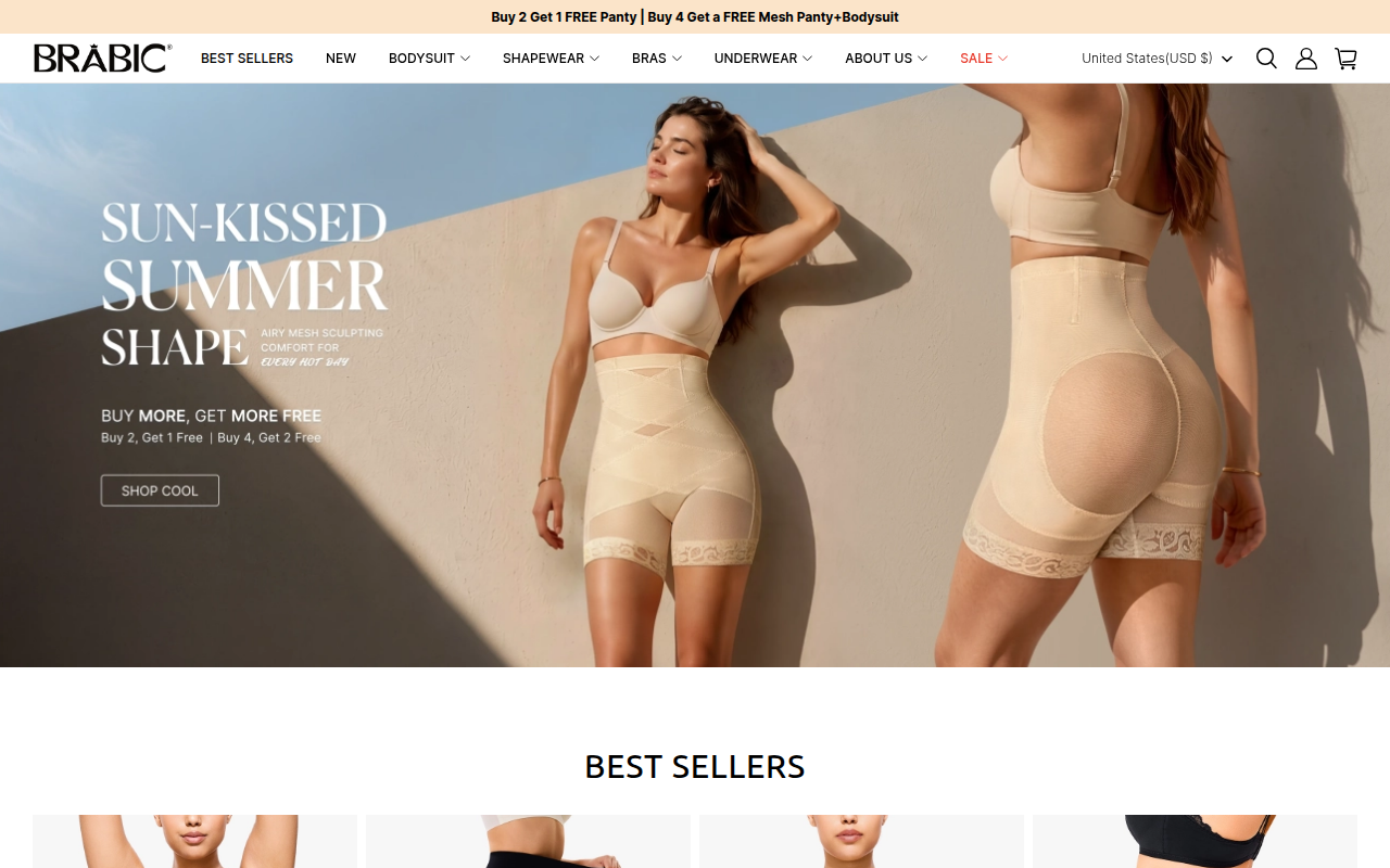 Screenshot van brabic.com