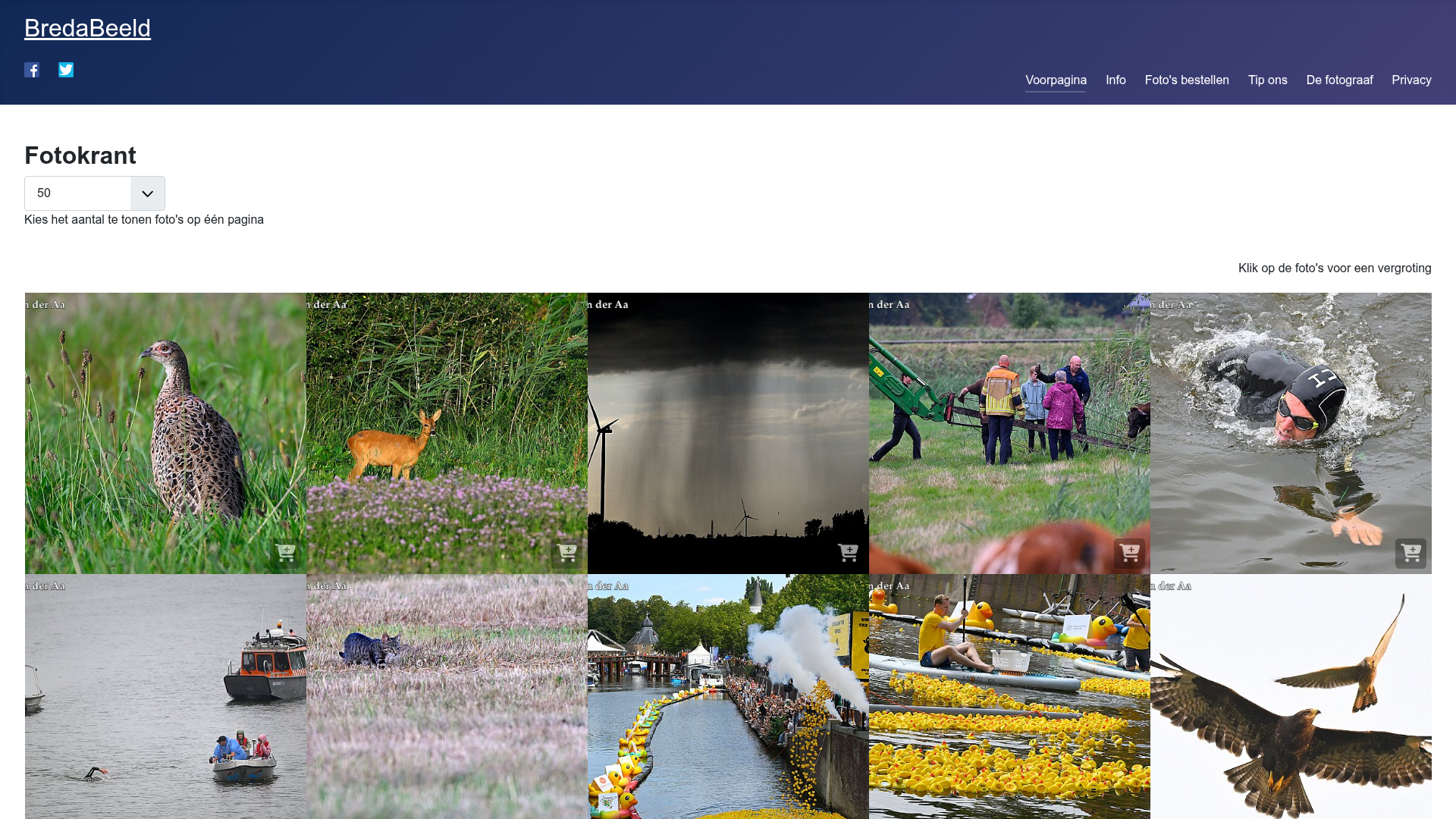 Screenshot van bredabeeld.nl