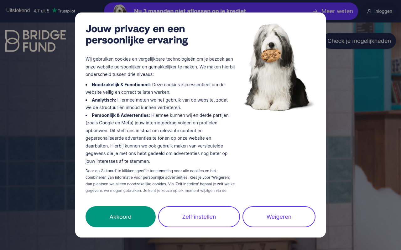 Screenshot van bridgefund.nl