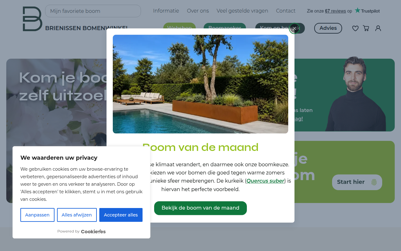 Screenshot van brienissen.nl