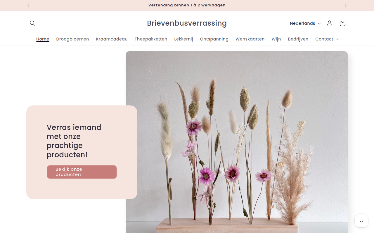 Screenshot van brievenbus-verrassing.nl
