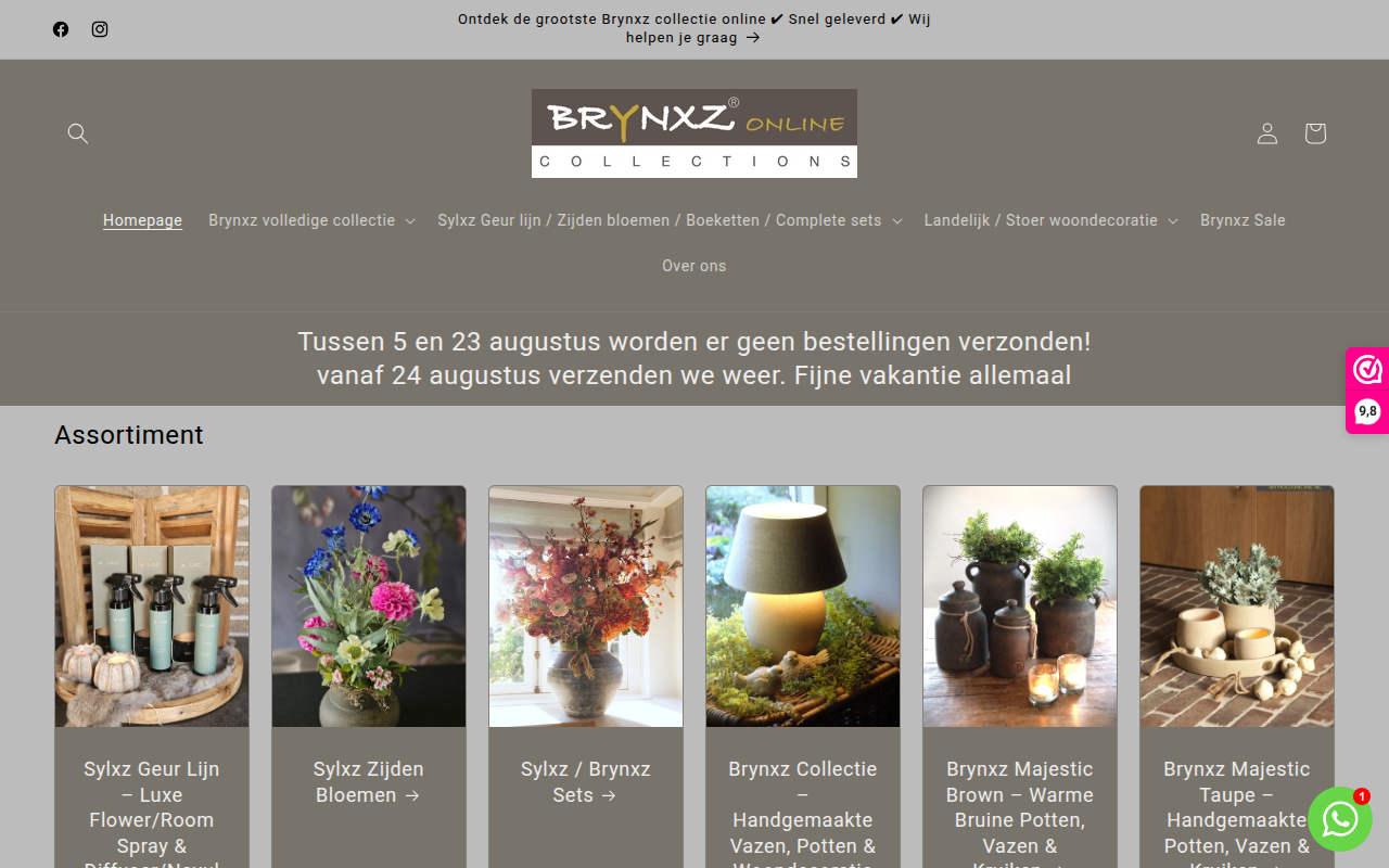 Screenshot van brynxzonline.nl