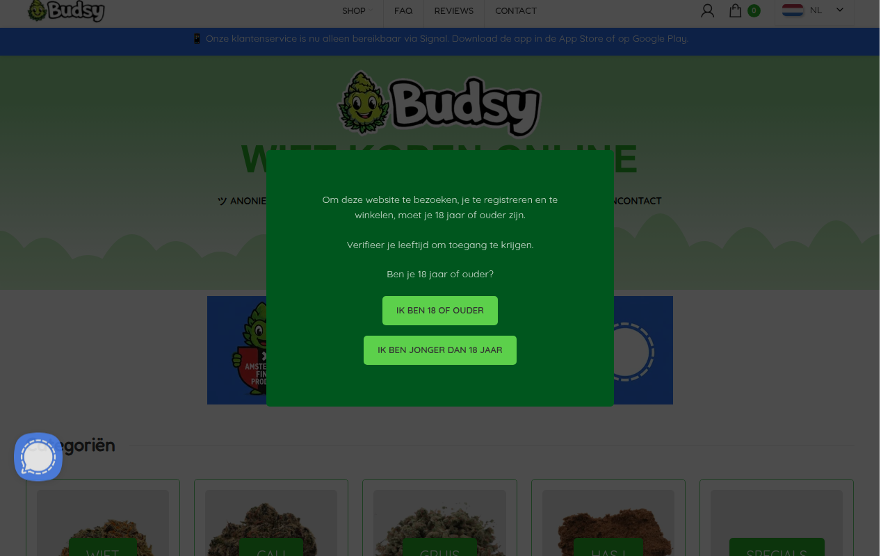 Screenshot van budsy.nl
