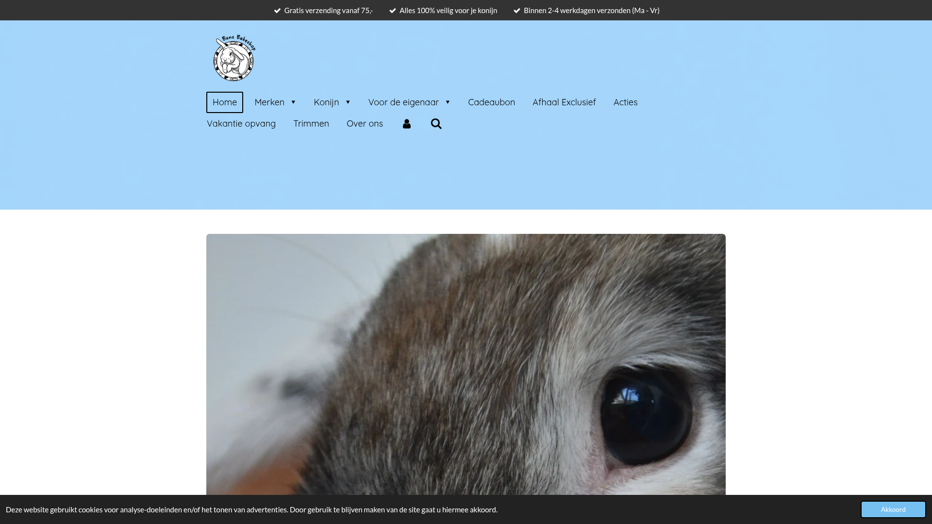 Screenshot van bunsbakeshop.nl