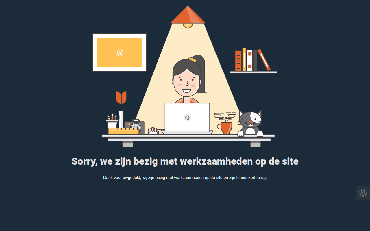 Screenshot van byniese.nl