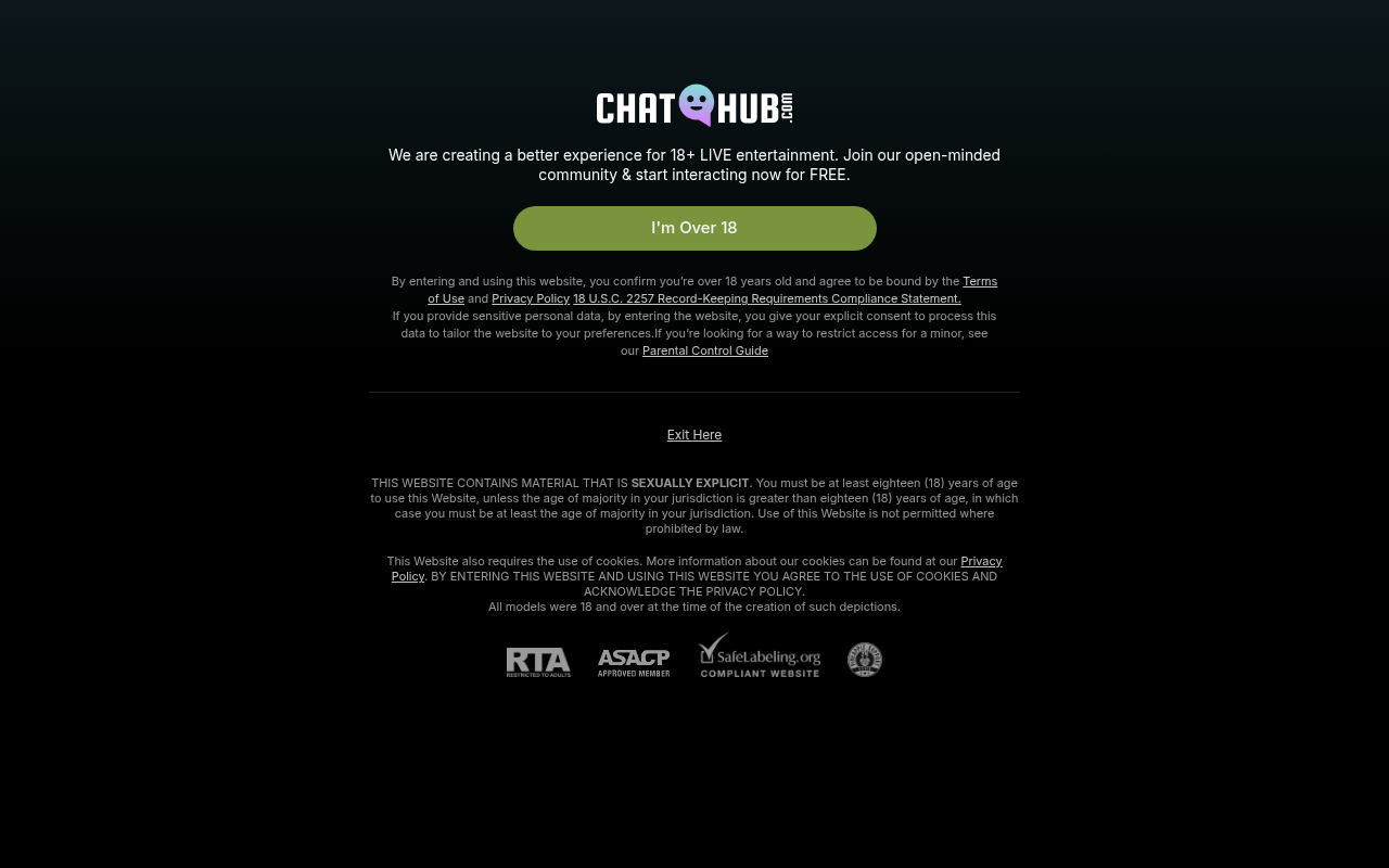Screenshot van chathub.com