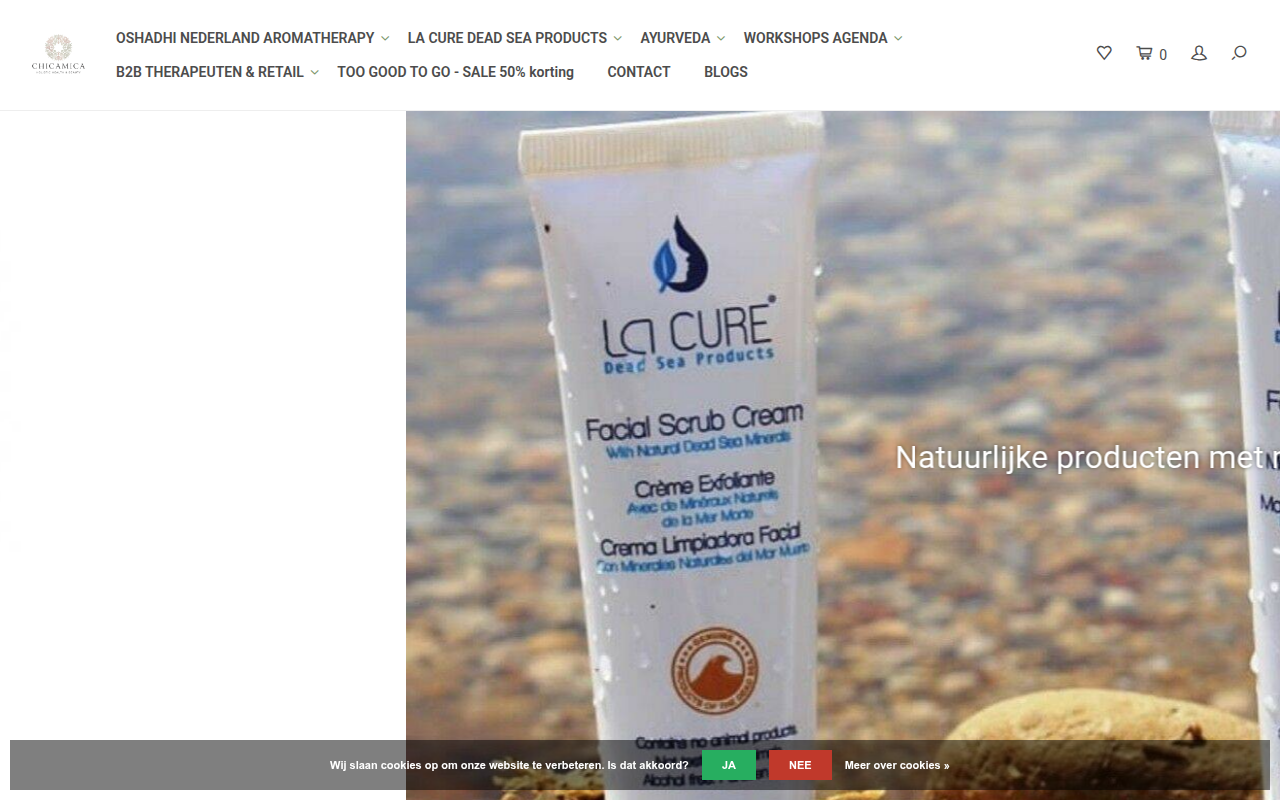 Screenshot van chicamica.com