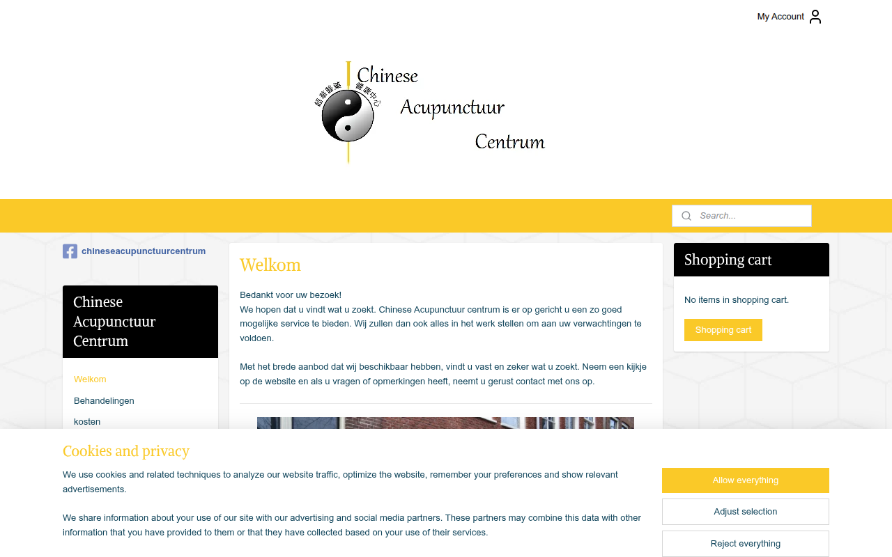 Screenshot van chineseacupunctuurcentrum.nl