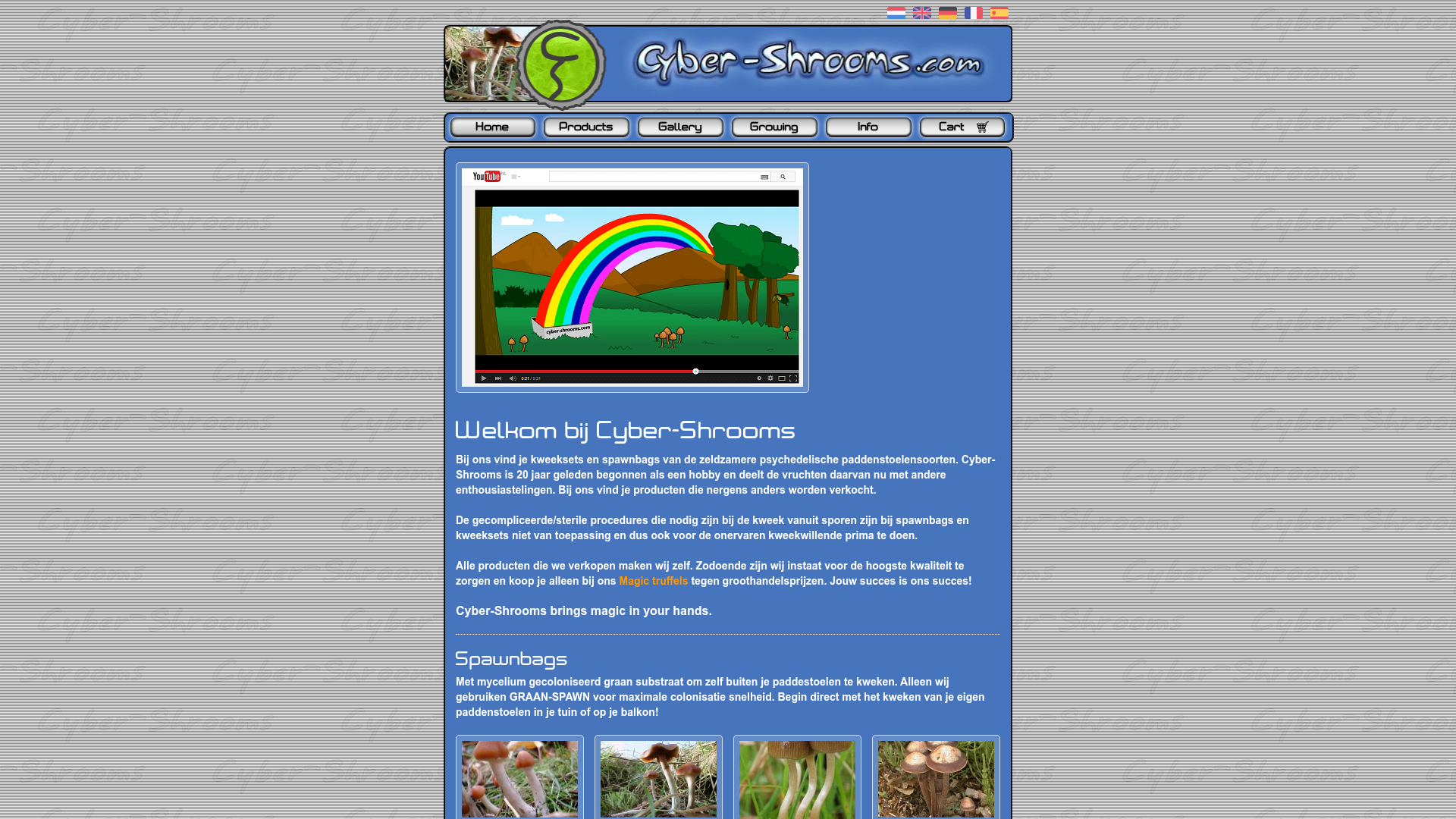 Screenshot van cyber-shrooms.com