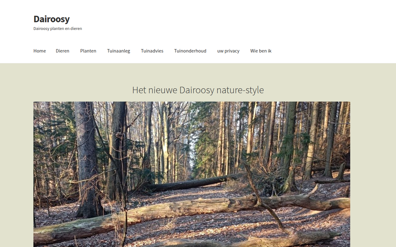 Screenshot van dairoosy.nl