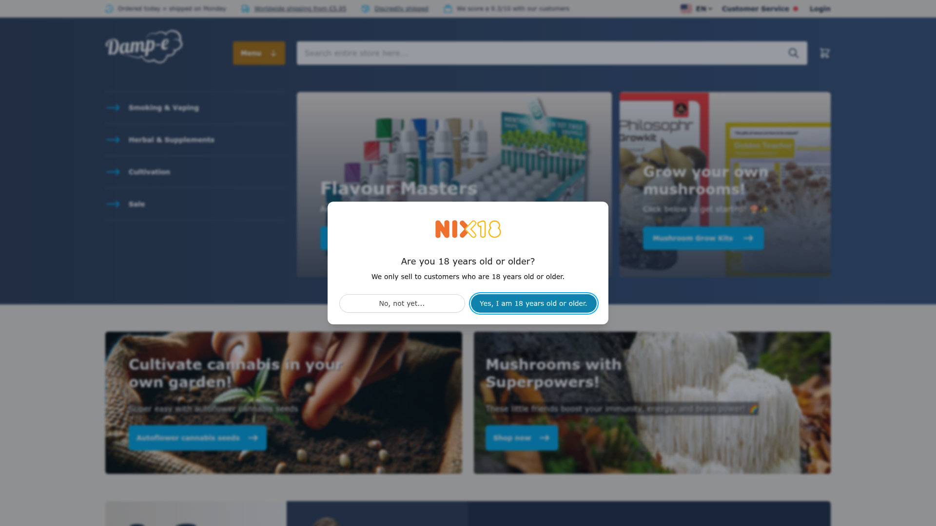 Screenshot van damp-e.com