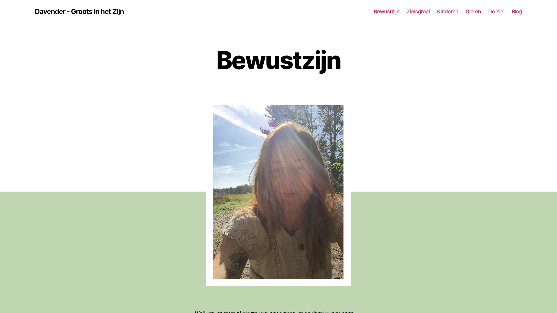 Screenshot van davender.nl