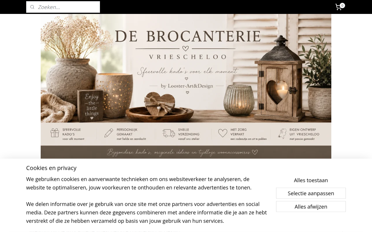 Screenshot van debrocanterievriescheloo.nl