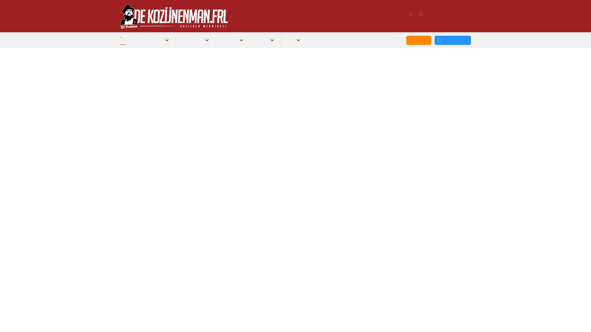 Screenshot van dekozijnenman.frl