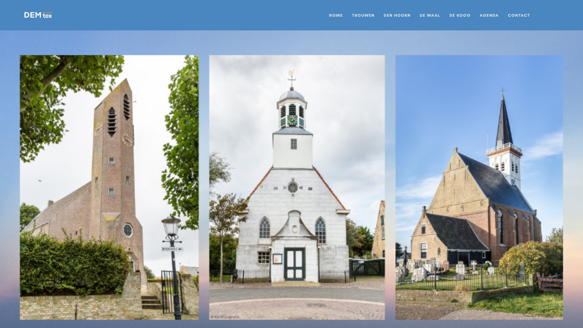 Screenshot van demtex.nl