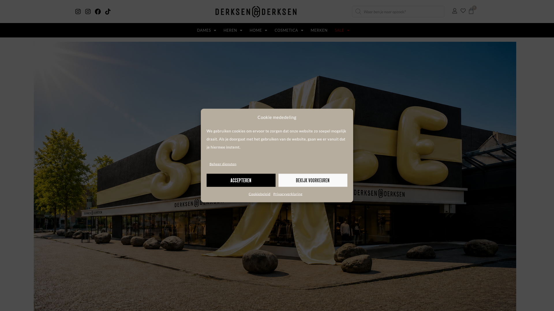 Screenshot van derksenenderksen.nl