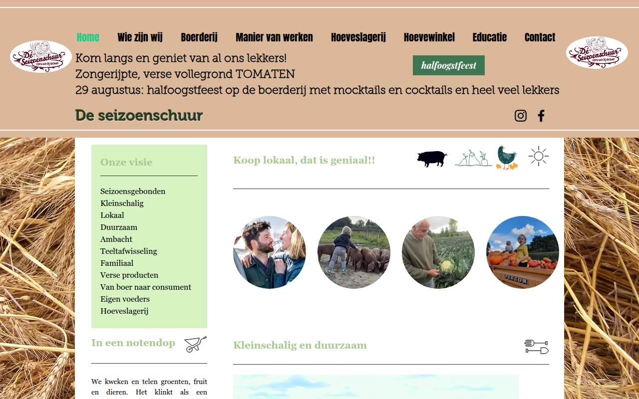 Screenshot van deseizoenschuur.be