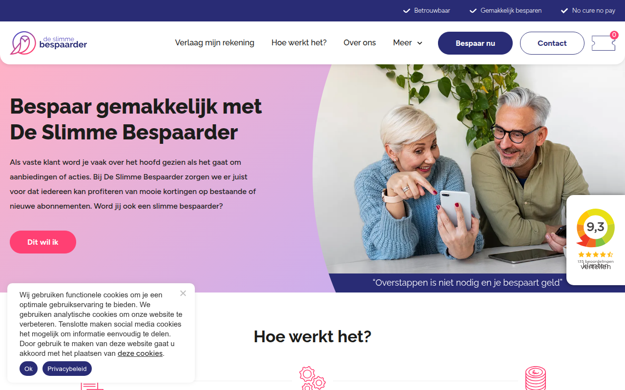 Screenshot van deslimmebespaarder.nl